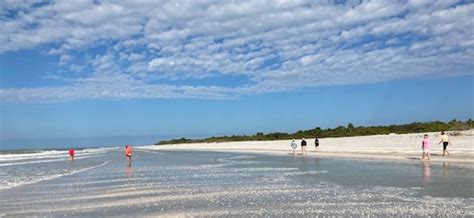 What to do on Sanibel Island, Florida: beach, bike, birds, repeat ...