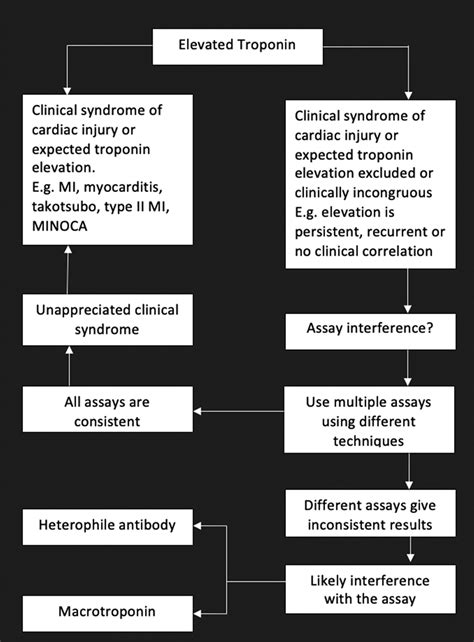 Persistent Troponin Elevation: Macrotoponin and Diagnostic Pathways for the Unexplainable ...