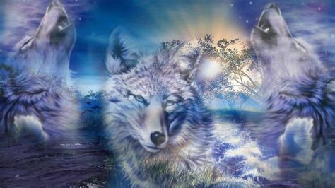 Cool Wolf Wallpapers - Top Free Cool Wolf Backgrounds - WallpaperAccess