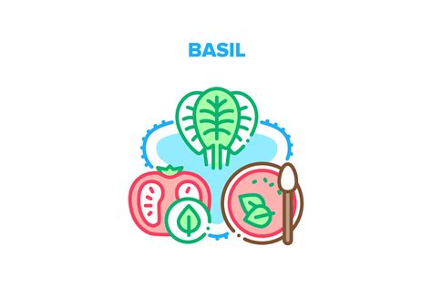 Basil Spice Vector Concept Color Graphic by pikepicture · Creative Fabrica