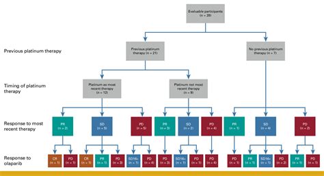 Olaparib in Patients With Pancreatic Cancer With BRCA1/2 Mutations ...