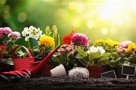 Image result for Spring Planting Program
