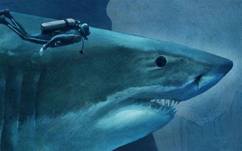 巨齿鲨灭绝时间提前100万年 要怪的可能就是大白鲨 - 神秘的地球 科学|自然|地理|探索