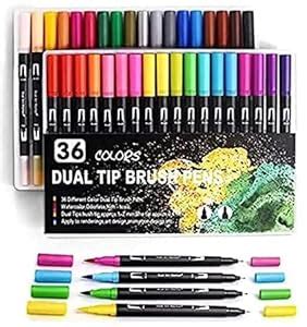 SCHMIDT Dual Markers Brush Pen, Brush Tips & Colored Fine Point Pen Set ...