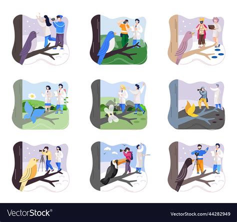 Observation 的图像结果