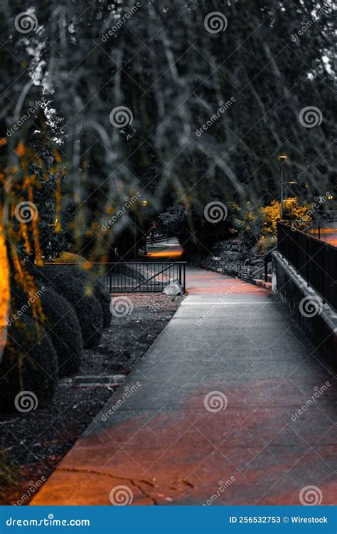 Sidewalk on the Park during Nighttime Stock Image - Image of urban ...