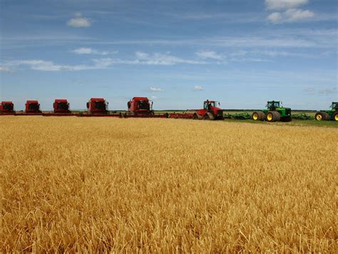 农业现代化 的图像结果