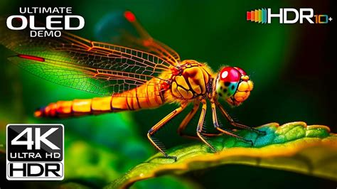 Image result for What Is a Scope in JavaScript