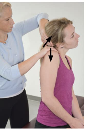 Image result for MMT Exam Tips