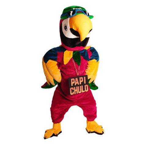 Mucho Gusto Papi Chulo 的图像结果