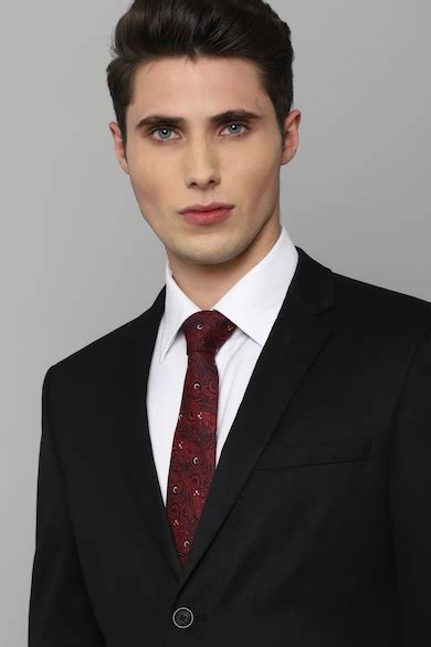 Buy Men Maroon Print Tie Online - 744116 | Louis Philippe