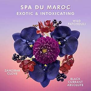 Moroccanoil Body Lotion Spa du Maroc 360ml - Ultra-Light Moisturizing ...