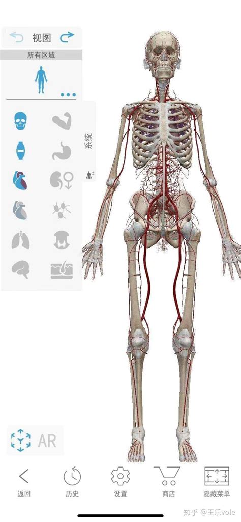 求问一个3d解剖学软件? - 知乎
