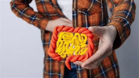 What Happens When SIBO Untreated - Conscious Medicine