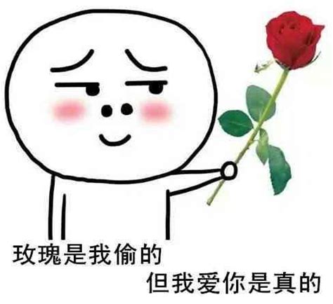 我爱你表情包：玫瑰是我偷的，但我爱你是真的