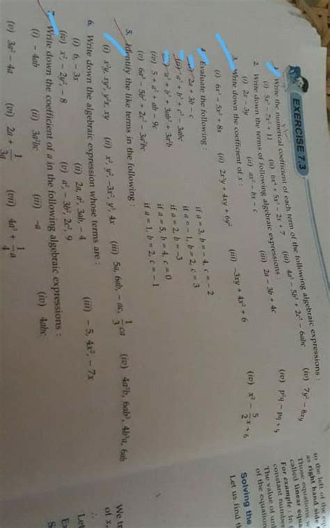 write the numerical coffacient of each term of the following algebraic ...