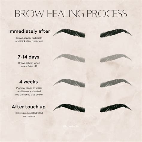 Image result for Microblading Healing