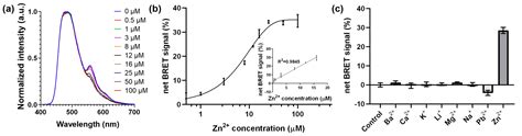 Ratiometric Detection of Zn2+ Using DNAzyme-Based Bioluminescence ...