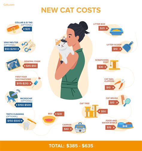 How Much Does It Cost For Cat Surgery