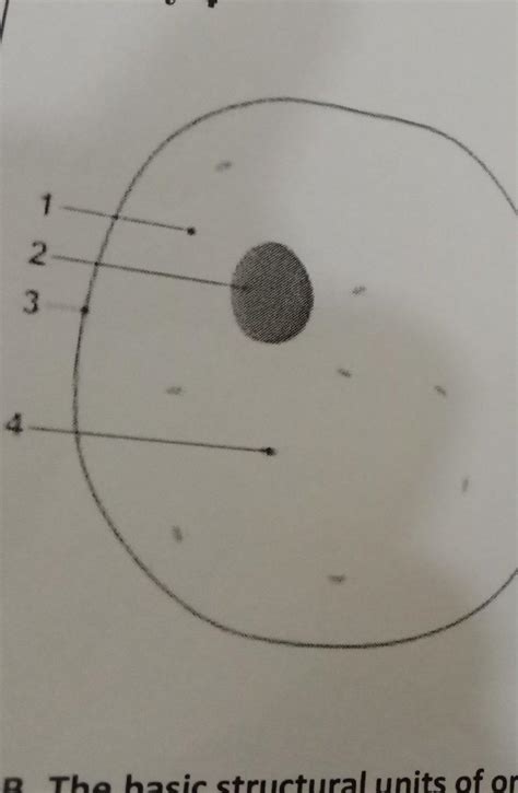 A. Label the parts of the cell against the numbers below:2 - Brainly.in
