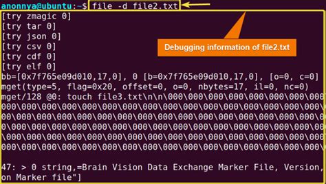 Image result for How to View a File Using Type Command