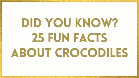 Facts About Crocodiles - 25 Fun Crocodile Facts That Will WOW You!