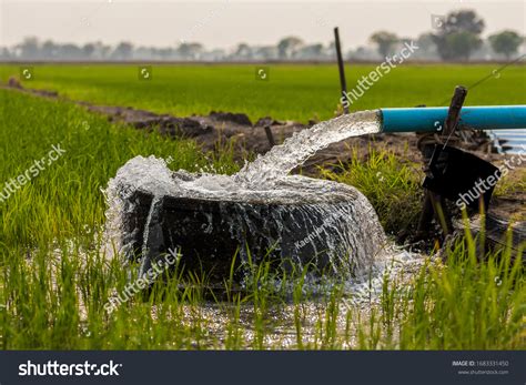 Agricultural Water Pump