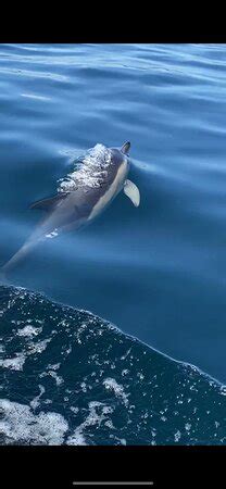 Atlantic Adventures (Penzance) - What to Know BEFORE You Go