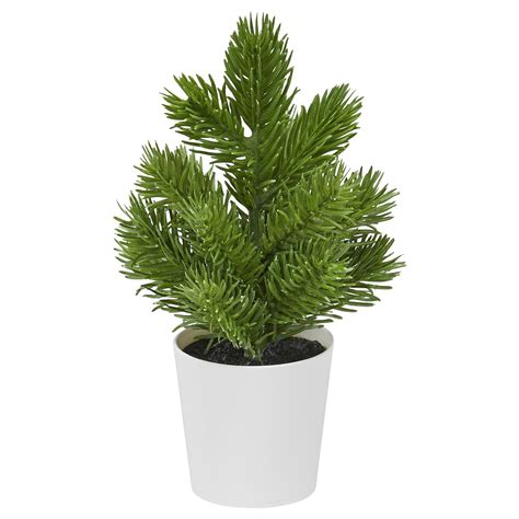 VINTERFINT artificial potted plant, in/outdoor Christmas tree/green, 6 ...