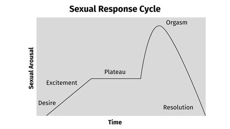 The Pleasure Box | the Gender Talk