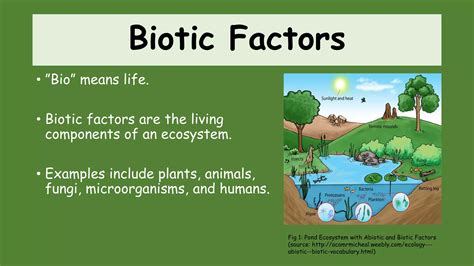Ecosystems Module 1: Abiotic & Biotic Factors | PPTX