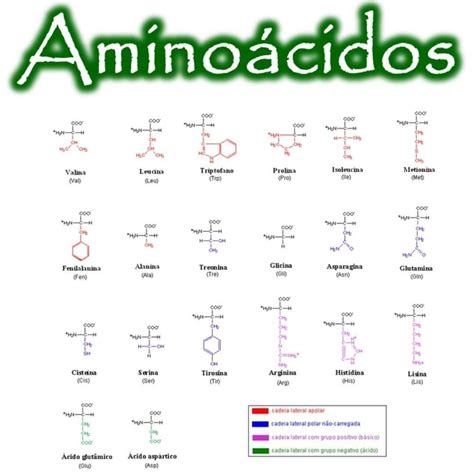 Chemical Symbols in Spanish