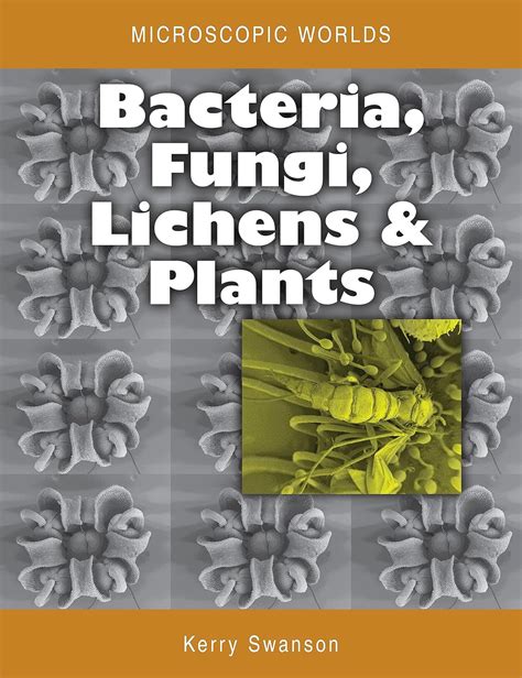 Microscopic Worlds Volume 3: Bacteria Fungi Lichens and Plants ...
