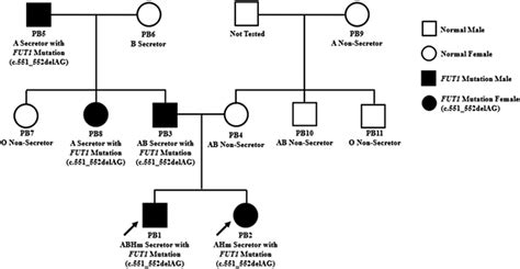 Genotyping of the rare Para-Bombay blood group in southern Thailand ...