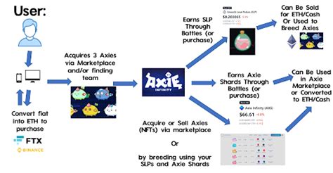 Image result for Axie Infinity Questions