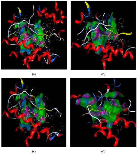 Novel ACE Inhibitory Peptides Derived from Simulated Gastrointestinal ...