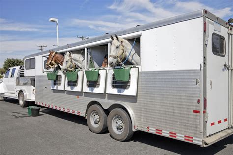 Horse Trailer Size Guide at Miguelina Cotten blog