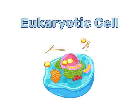 Image result for Cell Structure Animation