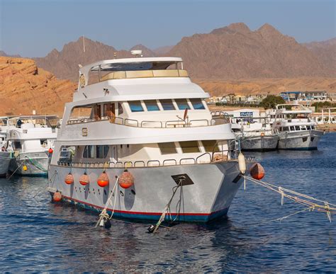 Shark Attack off Egypt's Red Sea Coastline Leaves One Italian Tourist ...