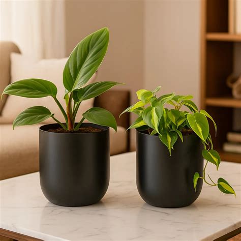 Buy Metal Planters Online | Stylish, Durable & Affordable | Urban Plant
