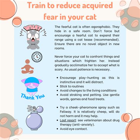 Image result for Help Me Cat