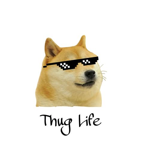 Animal Thug Life Memes Animals Thug Life | TikTok