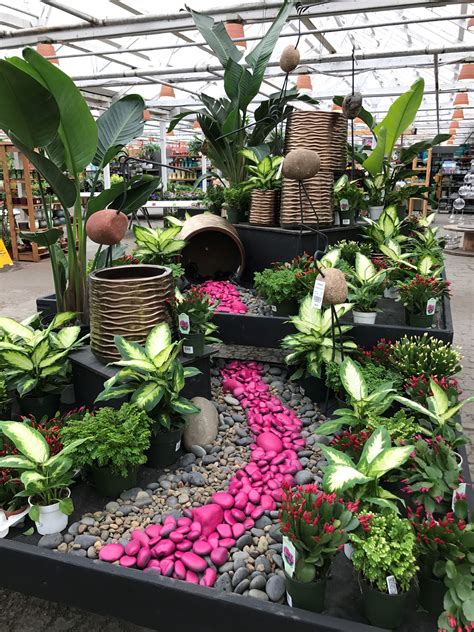 Easter Cactus display at Molbak's | Garden center displays, Plant ...