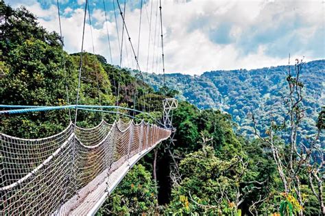 Rendezvous Rwanda: Inside Africa’s newest luxury destination - India Today