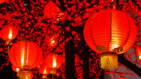 Welcome to iQ The Costume Store | iQ Student Accommodation