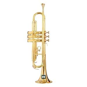 IMI DW Model Trumpet With All Accessories Including Mouthpiece & Case ...
