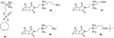 Structures and Synthesis of Zwitterionic Polymers