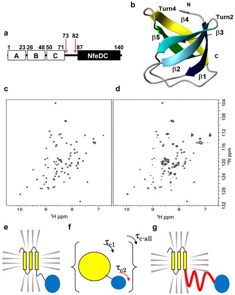 A Method for Systematic Assessment of Intrinsically Disordered Protein ...
