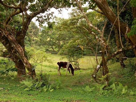 Dolores Tourism (2024): All You Need to Know Before You Go