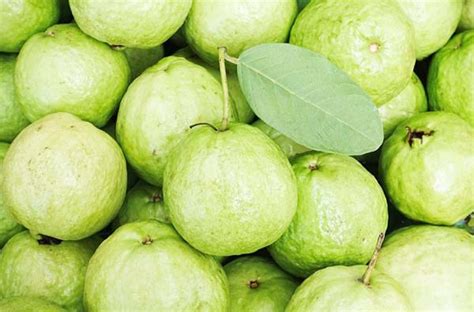 Koppal Guava